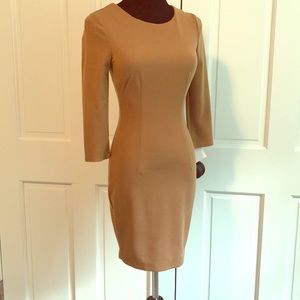 NWT Fitted Dress